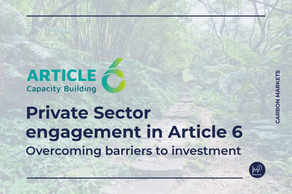 Private Sector Engagement in Article 6